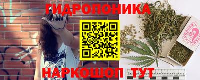a pvp Владимир