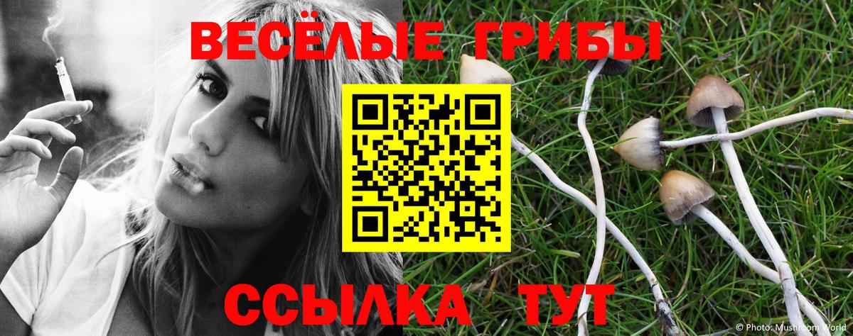 Псилоцибиновые грибы Magic Shrooms Биробиджан